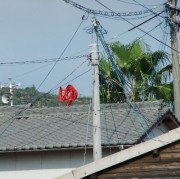 宮浦港から