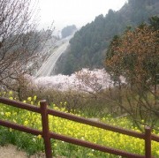 高速道路が見える