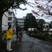 うっとうしい雨