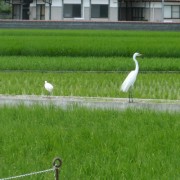 あれ？オイラとゆっくりしたくないの？