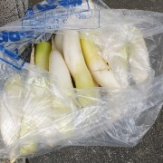 daikon