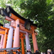 torii