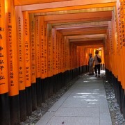 torii4