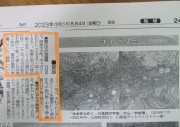 yomiuri8.4